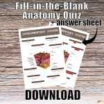 Integumentary System Anatomy Quiz Worksheet Answers – Etsy Australia With Integumentary System Worksheet Answers