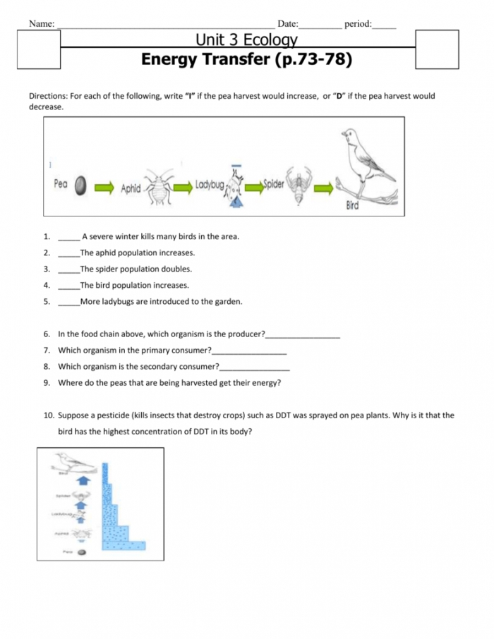 Introduction To Food Chains Worksheets | 99Worksheets Pertaining To Energy Flow Worksheet Answers