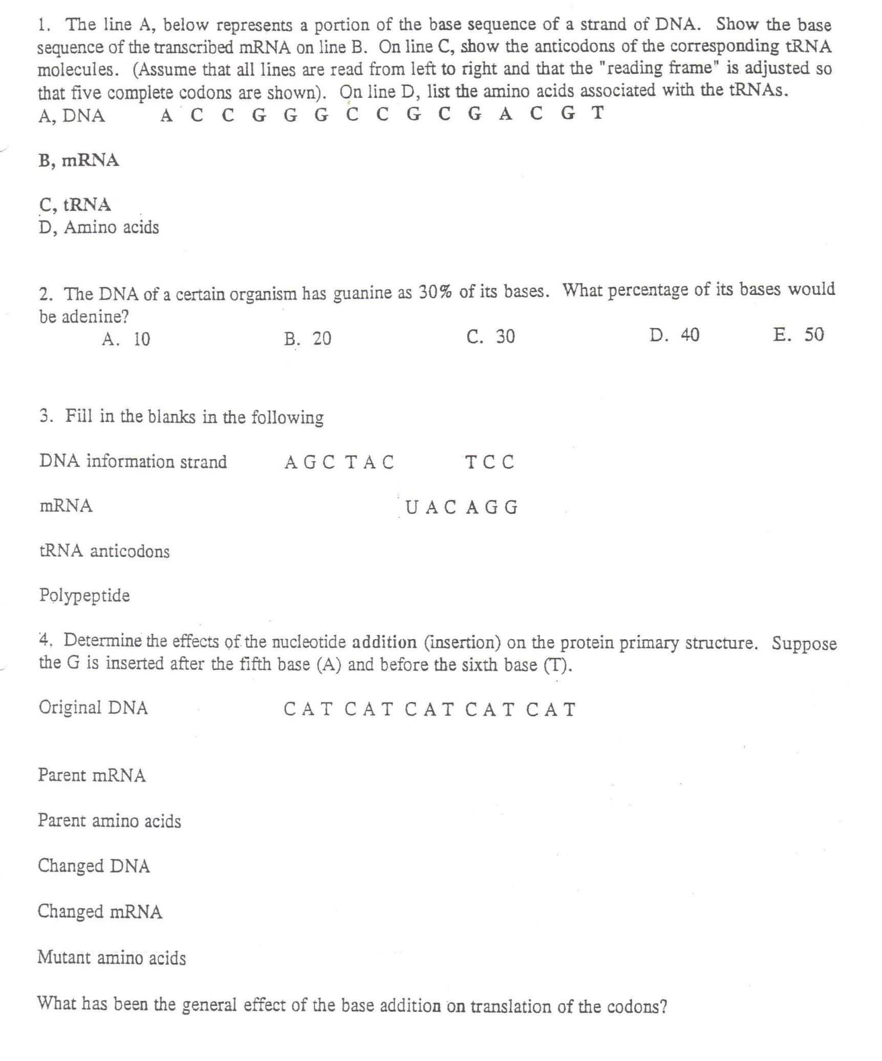 Investigation Dna Proteins And Mutations Answers : Name Key Mutations intended for Mutations Worksheet Answer Key