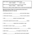 Irregular Plural Nouns Practice Worksheets | 99Worksheets Intended For Irregular Plural Nouns Worksheet