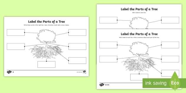 Ks1 Differentiated Worksheets Diagram Of A Tree With Labels Regarding Parts Of A Tree Worksheet