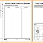 Ks2 Producers, Consumers And Decomposers Sorting Activity with Producer Consumer Decomposer Worksheet