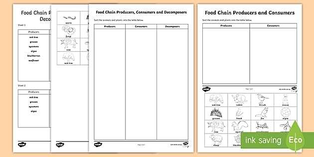 Ks2 Producers, Consumers And Decomposers Sorting Activity with Producer Consumer Decomposer Worksheet