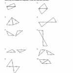 Kuta Software Infinite Geometry Sss Sas Asa And Aas Congruence – Vegan In Sss Sas Asa Aas Worksheet