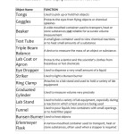 Lab Safety Worksheet Answer Key — Excelguider Throughout Lab Safety Worksheet Answer Key