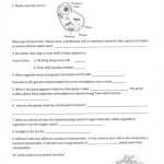 Lab Safety Worksheet Pdf — Db Excel Intended For Lab Safety Worksheet Pdf