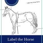 Label The Horse Worksheet - Homeschool Helper Online for Parts Of The Horse Worksheet