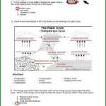 Labeling The Water Cycle Worksheet Answers Worksheet : Resume Examples Pertaining To Bill Nye Water Cycle Worksheet