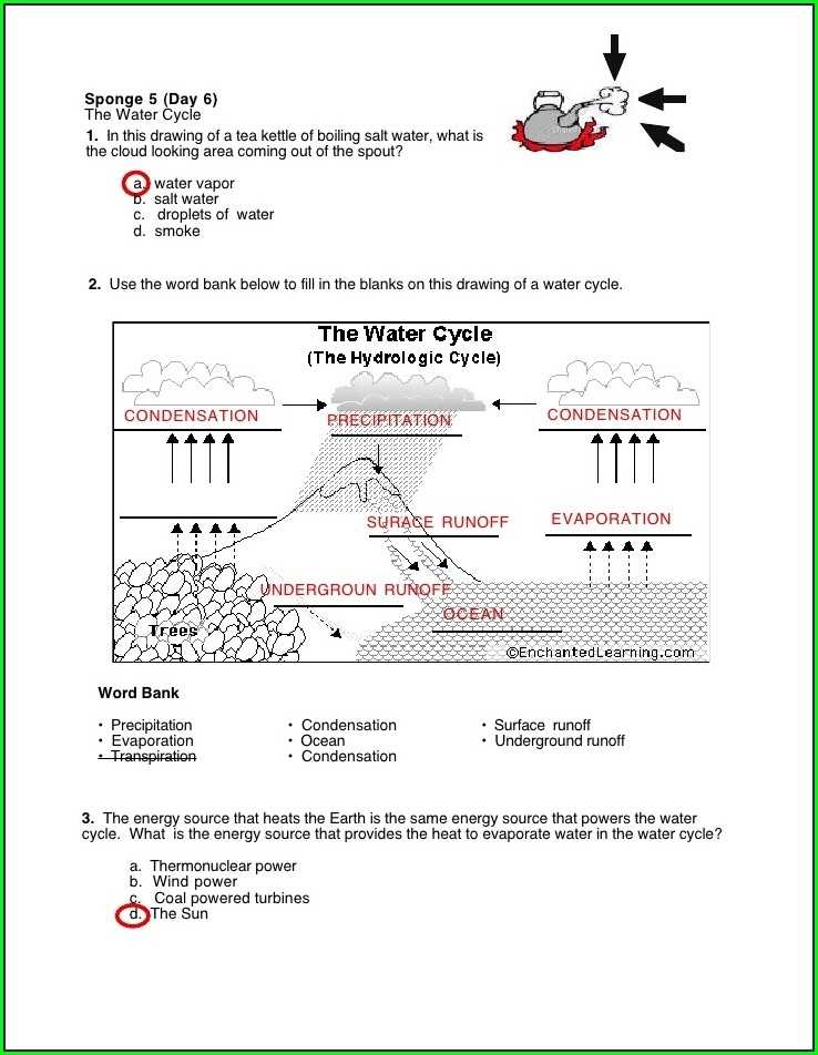 Labeling The Water Cycle Worksheet Answers Worksheet : Resume Examples Pertaining To Bill Nye Water Cycle Worksheet
