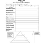 Levels Of Biological Organization Worksheet — Db Excel In Levels Of Biological Organization Worksheet