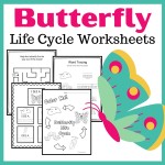 Life Cycle Of A Butterfly For Kids Pertaining To Butterfly Life Cycle Worksheet 2