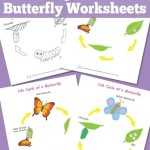 Life Cycle Of A Butterfly Worksheet - Itsybitsyfun for Butterfly Life Cycle Worksheet