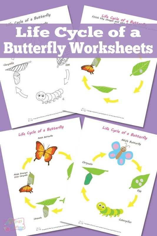 Life Cycle Of A Butterfly Worksheet - Itsybitsyfun for Butterfly Life Cycle Worksheet