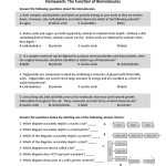 Lipids Worksheet Answer Key | Worksheet For Education Pertaining To Lipids Worksheet Answer Key