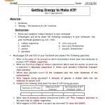 Lipids Worksheet Answer Key | Worksheet For Education Regarding Lipids Worksheet Answer Key