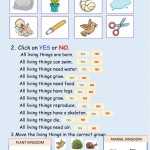 Living Things Characteristics Worksheets – Worksheet24 Within Characteristics Of Living Things Worksheet