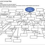 Macromolecules Concept Map Answers – Oconto County Plat Map With Cell Concept Map Worksheet Answers
