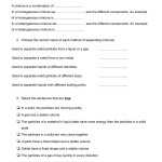 Matter And Energy Worksheet Intended For Matter And Energy Worksheet