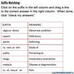 Medical Terminology Suffixes Worksheet For Medical Terminology Suffixes Worksheet