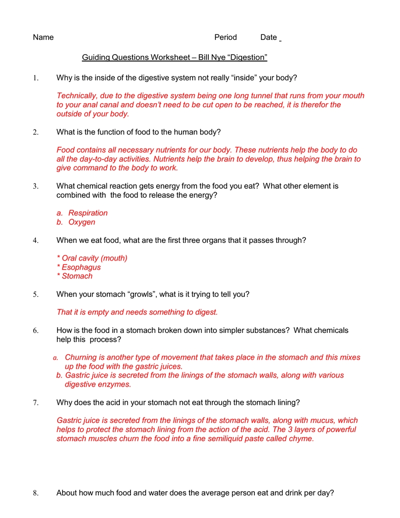 Microsoft Word - Gqw-Billnye Digestion.doc pertaining to Bill Nye Respiration Worksheet