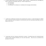 Monohybrid Cross Problems 2 Worksheet With Answers — Db Excel In Monohybrid Cross Practice Problems Worksheet