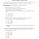 Monohybrid Cross Problems 2 Worksheet With Answers — Db Excel With Monohybrid Cross Practice Problems Worksheet