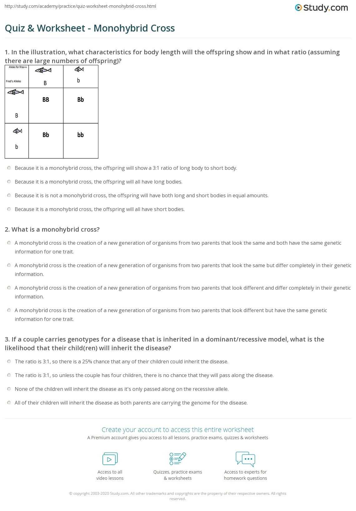 Monohybrid Cross Worksheet Answers | Education Template Intended For Monohybrid Cross Worksheet Answers