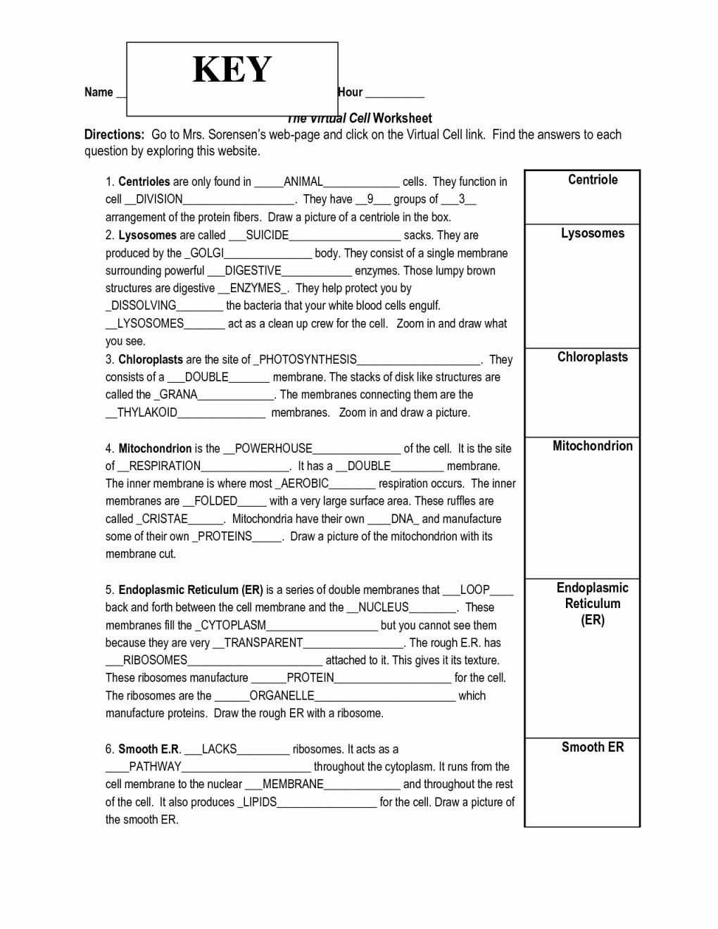 Movement Across The Cell Membrane Worksheet Answers - Nidecmege pertaining to Cell Membrane Worksheet Answers