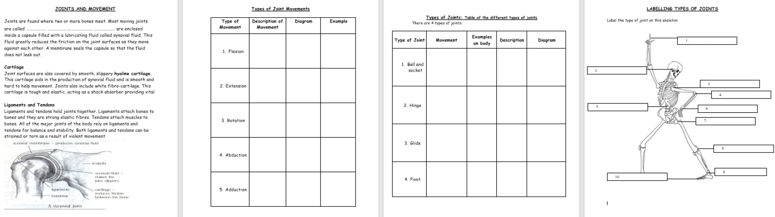 Movement Joints Ks3 Activate Science | Teaching Resources within Joints And Movement Worksheet