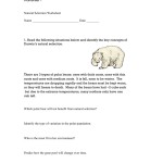Natural Selection Worksheet 1 – Summer Research Program For With Regard To Types Of Natural Selection Worksheet