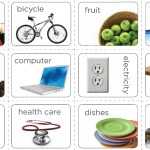 Needs And Wants Activity | Ecoliteracy With Regard To Needs Vs Wants Worksheet