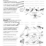 Nitrogen Cycle Worksheet Answer Key — Db Excel For Cycles Worksheet Answer Key