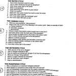 Nitrogen Cycle Worksheet Answer Key — Db-Excel throughout Nitrogen Cycle Worksheet Answer Key
