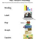 Nonfiction Text Features Worksheet Inside Nonfiction Text Features Worksheet