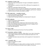Nucleic Acids And Protein Synthesis Worksheet Answers – Ivuyteq Inside Nucleic Acids Worksheet Answers