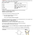 Nucleic Acids Worksheet Answers / Presentation Free Download Nucleic With Regard To Nucleic Acids Worksheet Answers