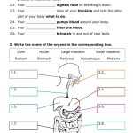 Nutrition – Review 1.1 – Interactive Worksheet Throughout Digestive System Worksheet High School