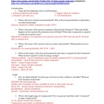 Organic Molecules Worksheet Answer Key – Word Worksheet In Organic Compounds Worksheet Answers