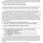 Organic Molecules Worksheet Review — Db Excel Inside Organic Molecules Worksheet Answer Key