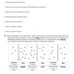 Osmosis And Diffusion Practice In Diffusion And Osmosis Worksheet