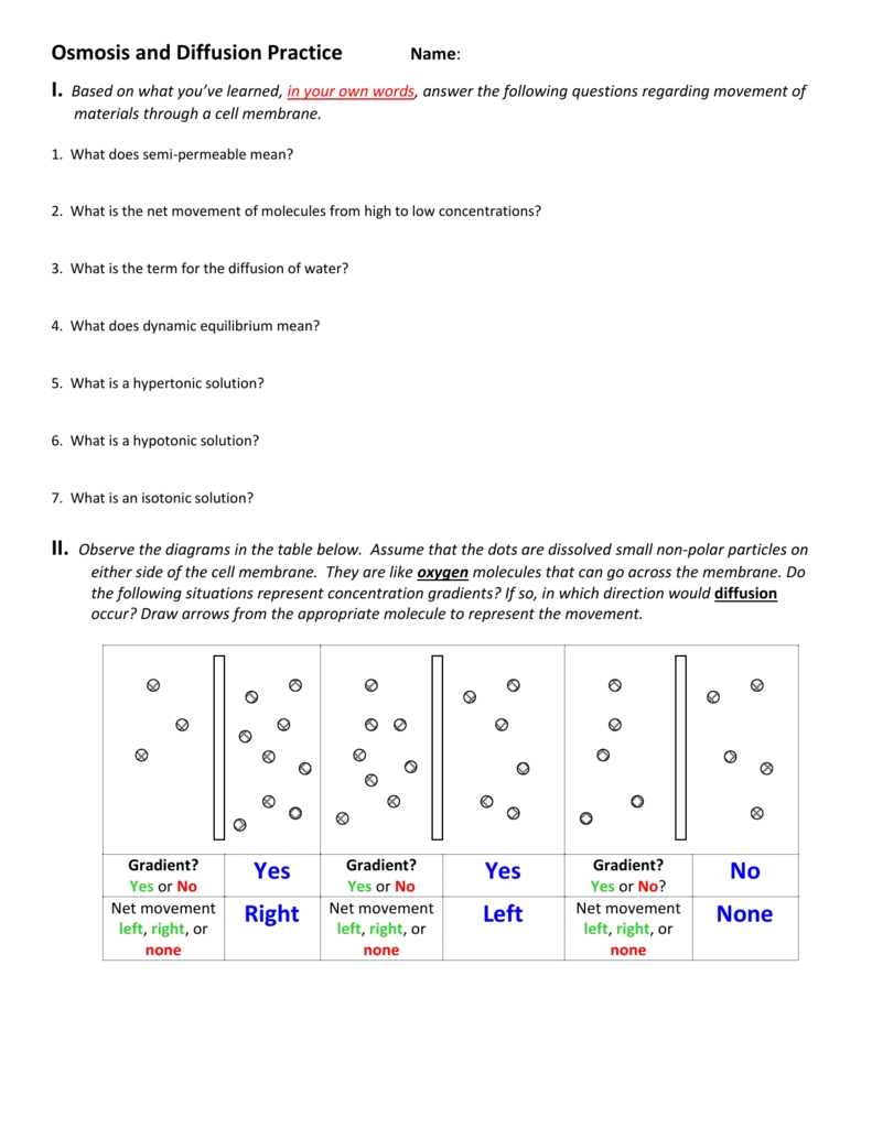 Osmosis And Diffusion Practice In Diffusion And Osmosis Worksheet