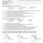 Osmosis And Diffusion Practice Worksheet Answer Key In Diffusion And Osmosis Worksheet Answers