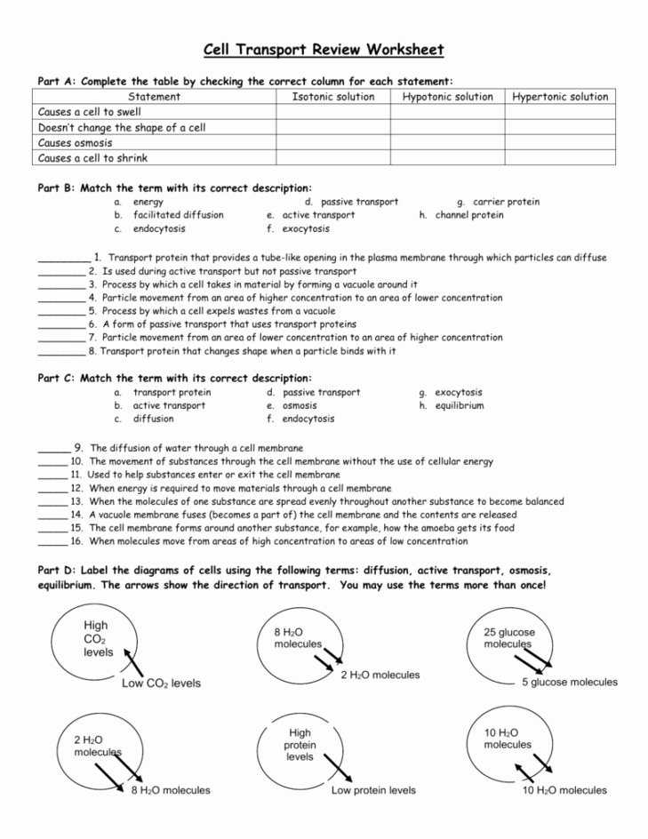 Osmosis And Diffusion Practice Worksheet Answer Key In Diffusion And Osmosis Worksheet Answers