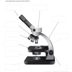 Parts Of A Microscope Worksheet - Homeschoolcreations with Parts Of A Microscope Worksheet