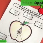 Parts Of An Apple | Free Worksheets Samples Inside Parts Of An Apple Worksheet