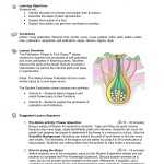 Parts Of Flower Pollination And Fertilization Worksheet Answers | Best With Regard To Plant Reproduction Worksheet Answers