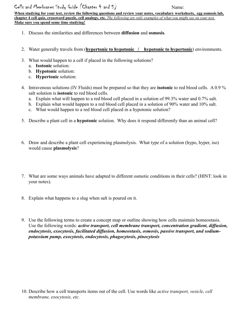 Passive Transport Worksheet Answers in Passive Transport Worksheet Answers