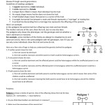 Pedigree Worksheet Answer Key – Promotiontablecovers Inside Genetics Pedigree Worksheet Answers