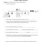 Pedigree Worksheet Answer Key – Promotiontablecovers Pertaining To Genetics Pedigree Worksheet Answers
