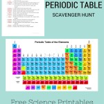 Periodic Table Scavenger Hunt Worksheet in Periodic Table Activity Worksheet